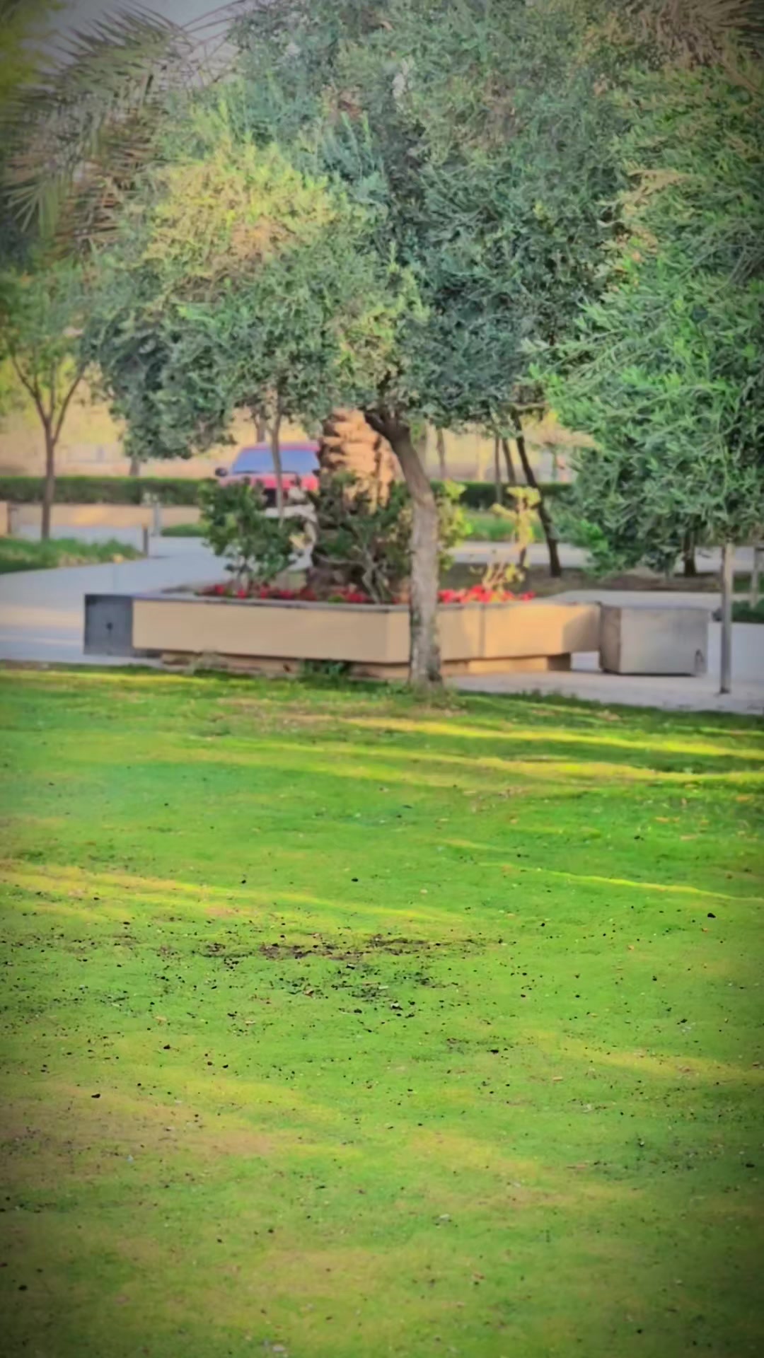 @امیر طلال وردگ