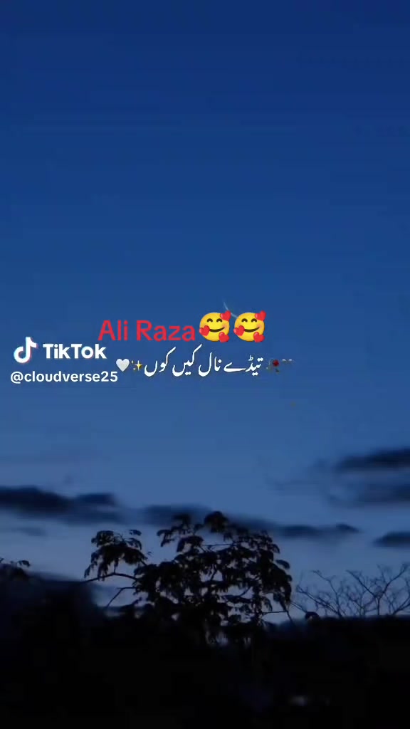@AliRaza Awan