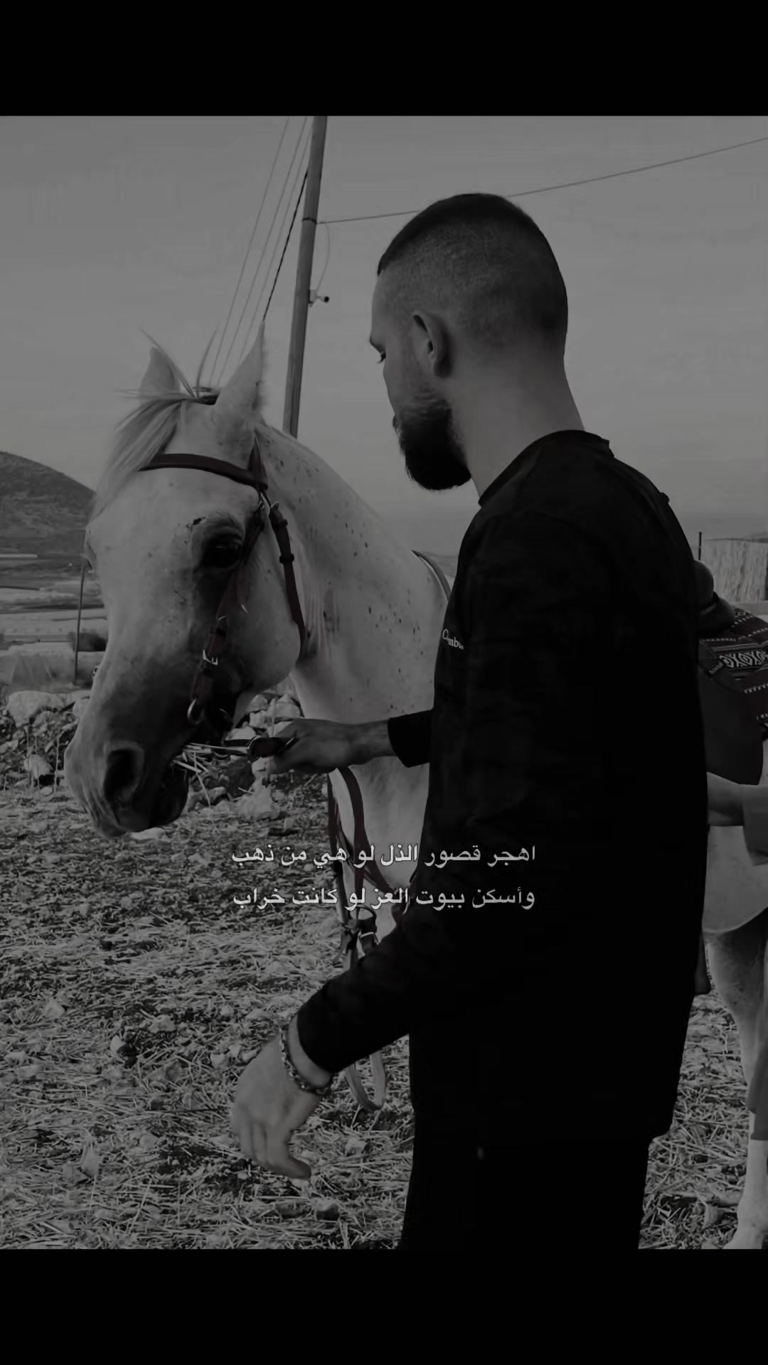 @🇵🇸Ｑｕｓａｙ