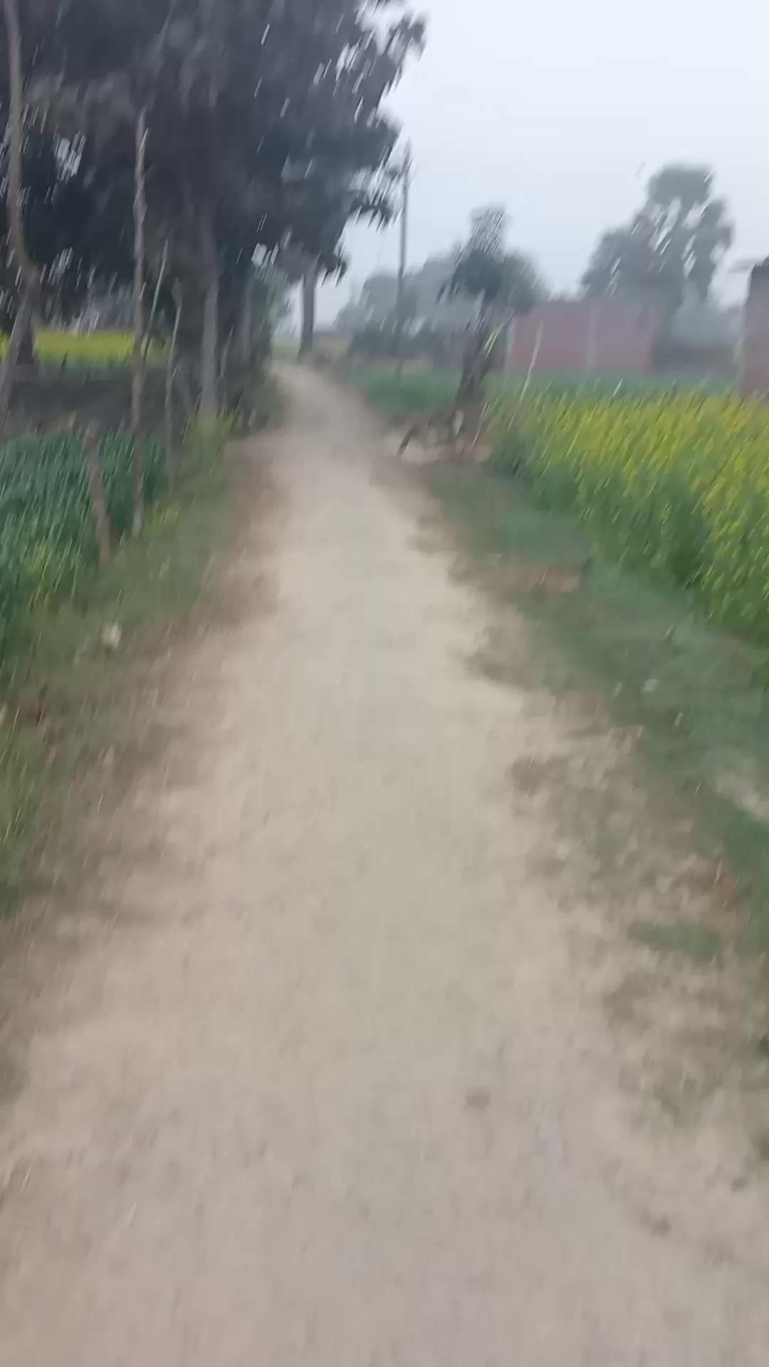 @Mohan Gupta