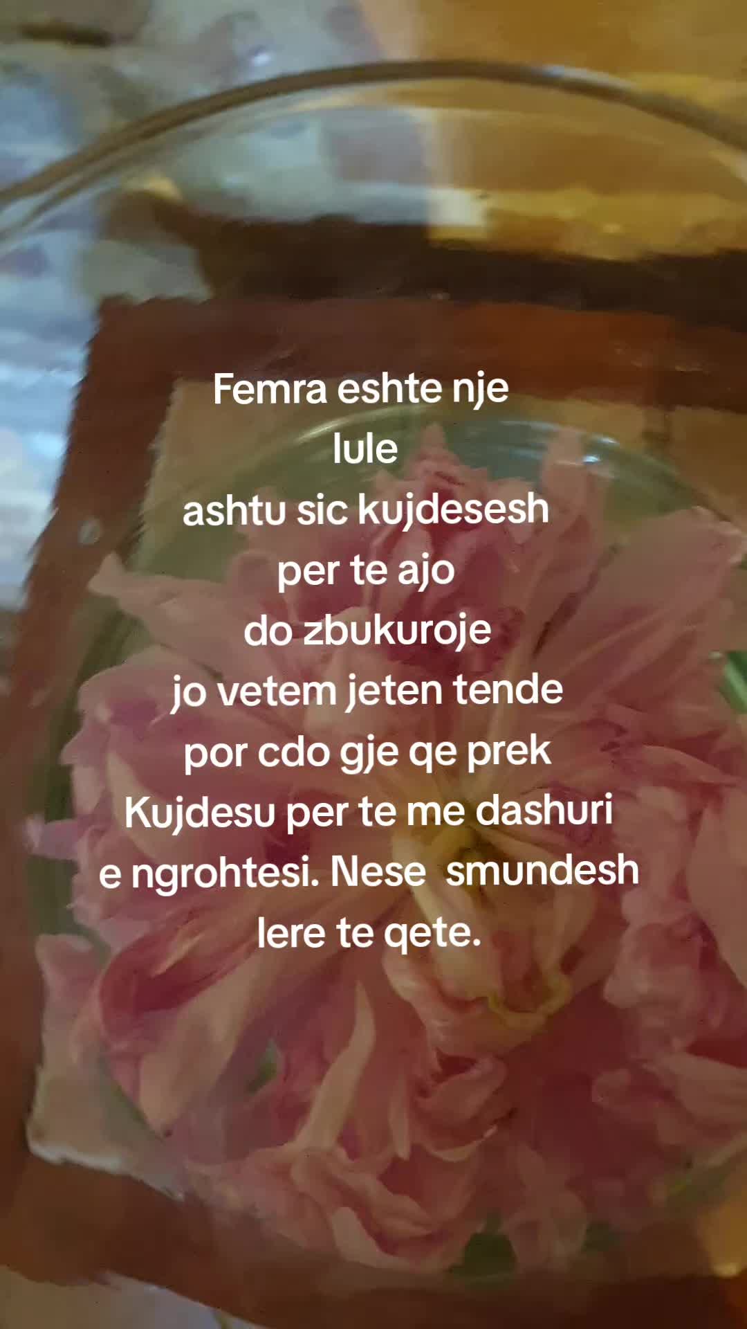 @Tina Metani 01144