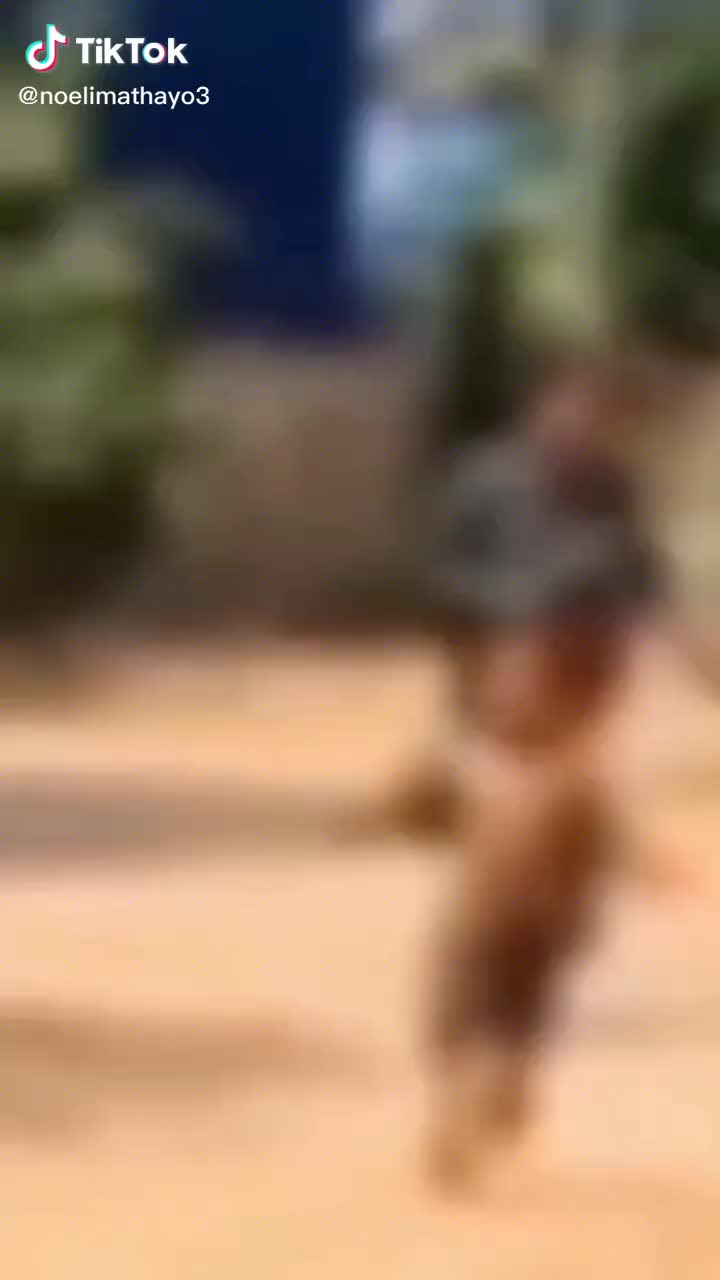 @Noel Mathayo04
