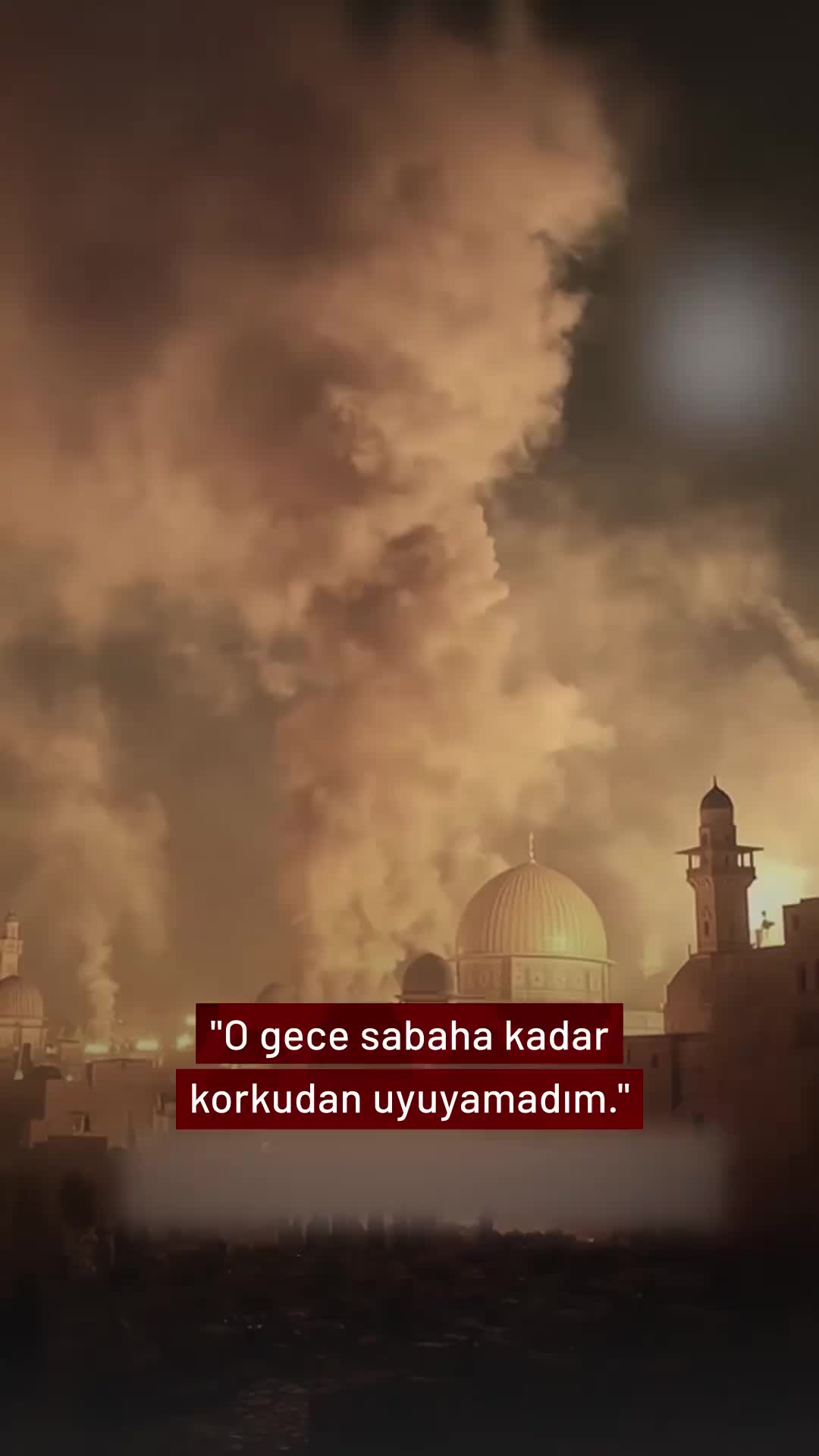 @🌍
