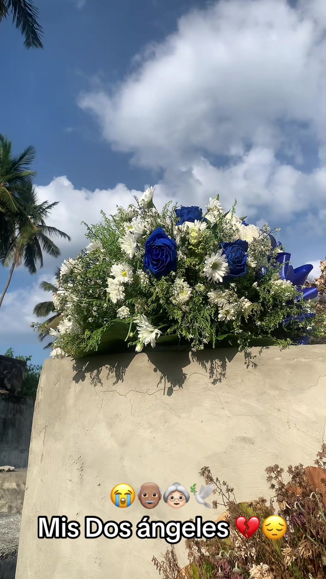 @Rosa oficial💫🥰🇩🇴