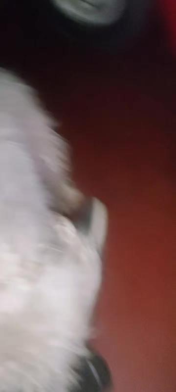 @~LuI§~EL Unico ๐๐๐