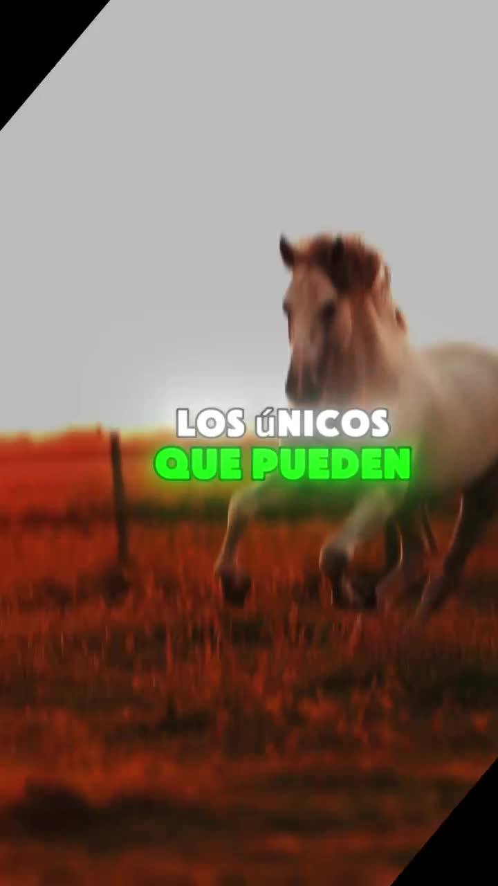@@EnfoqueTotal