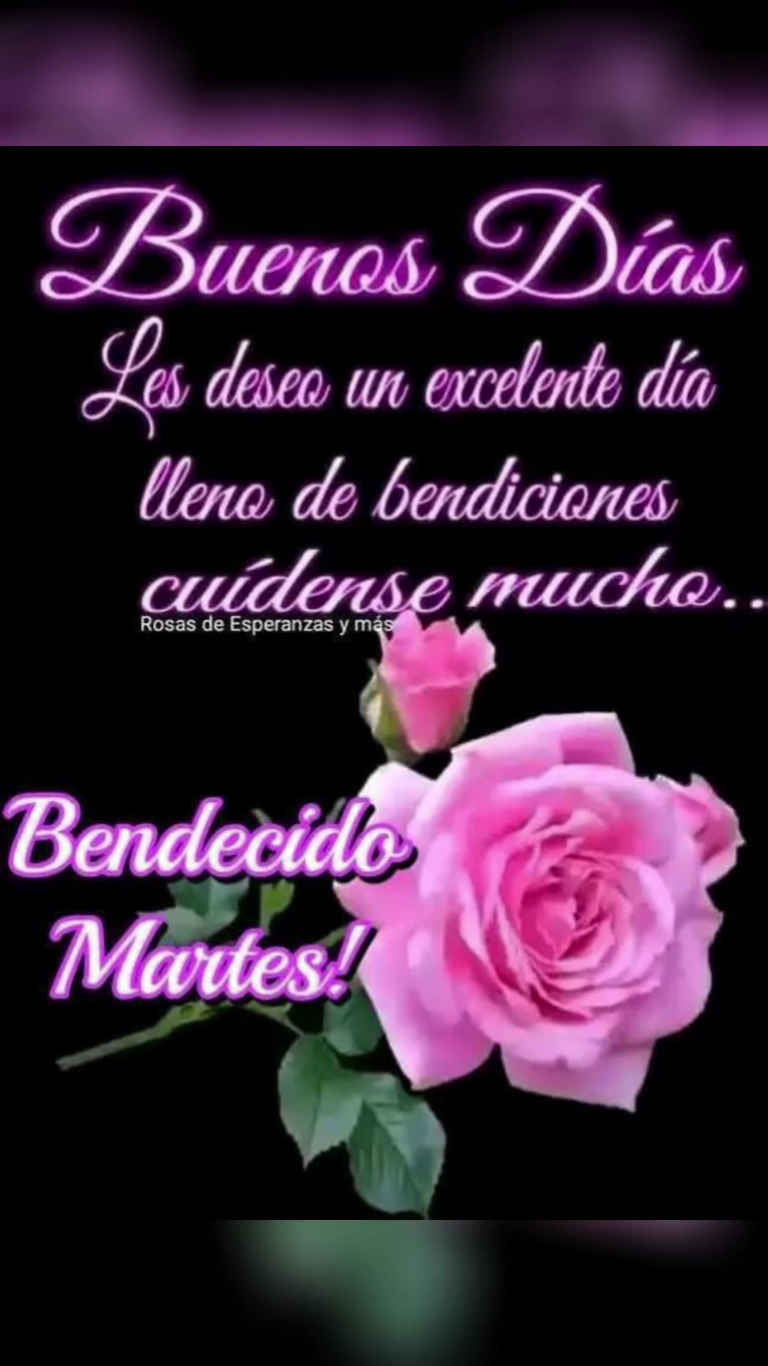 @elvirasvg