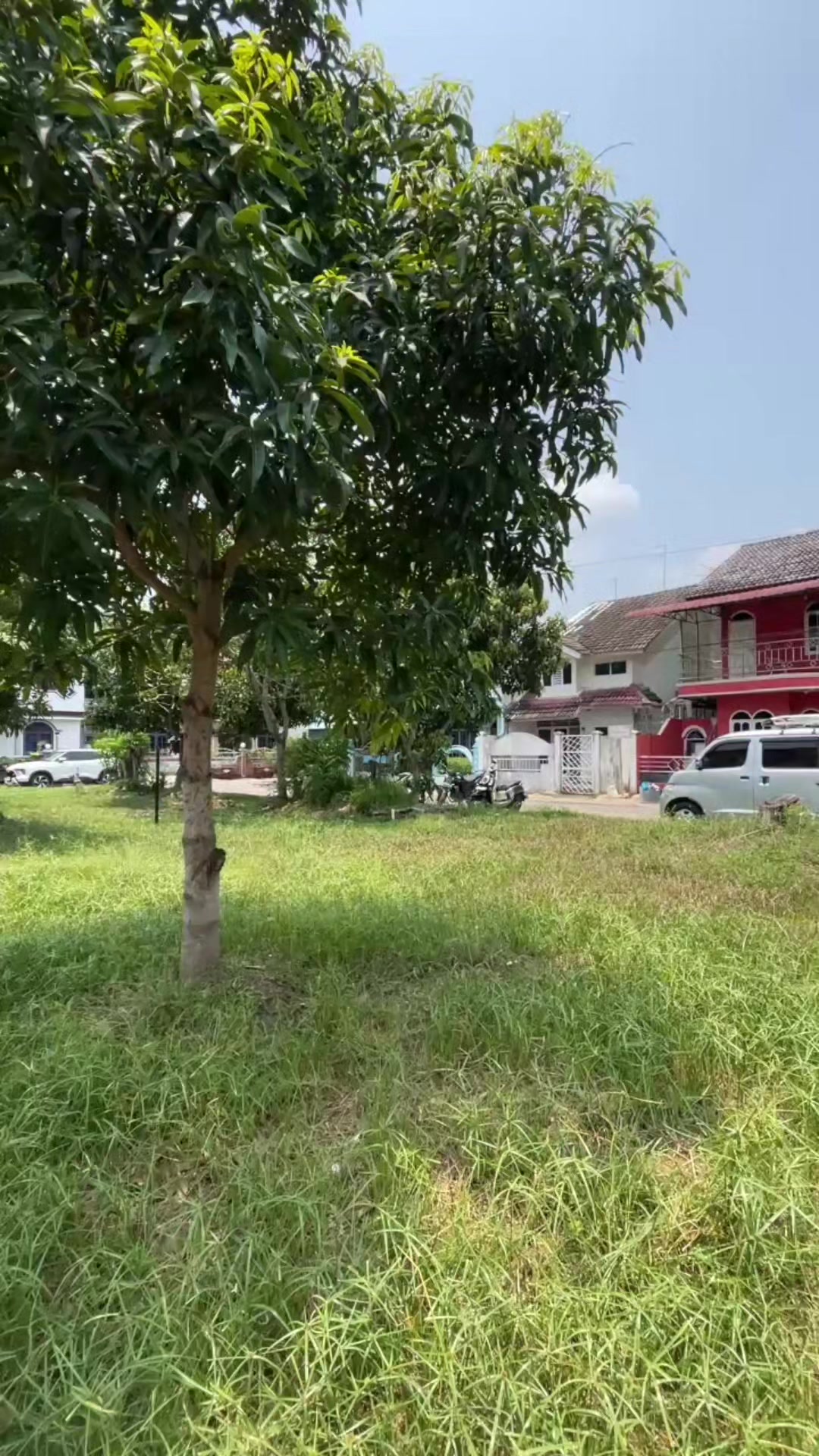 @DAMAI PROPERTY BATAM