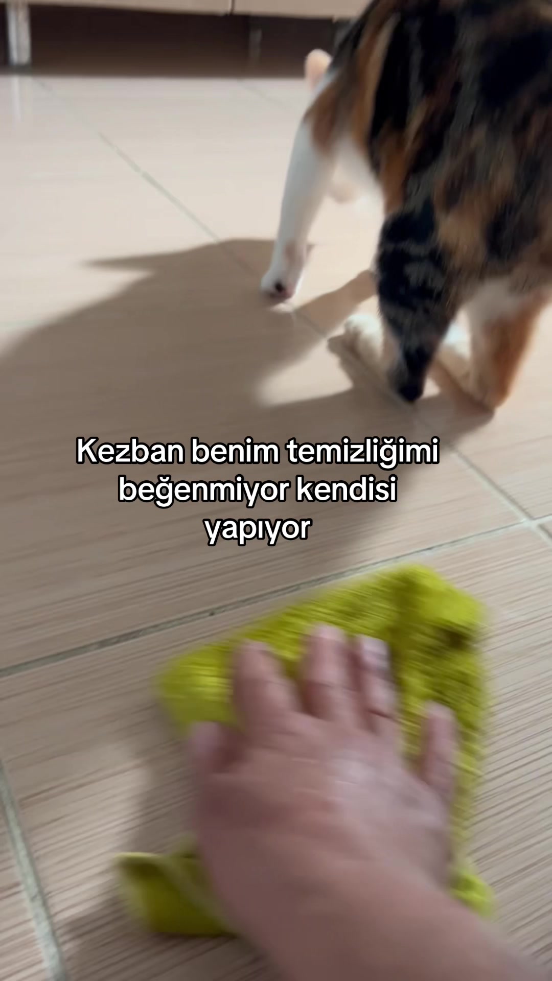 @Gönülünpatileri