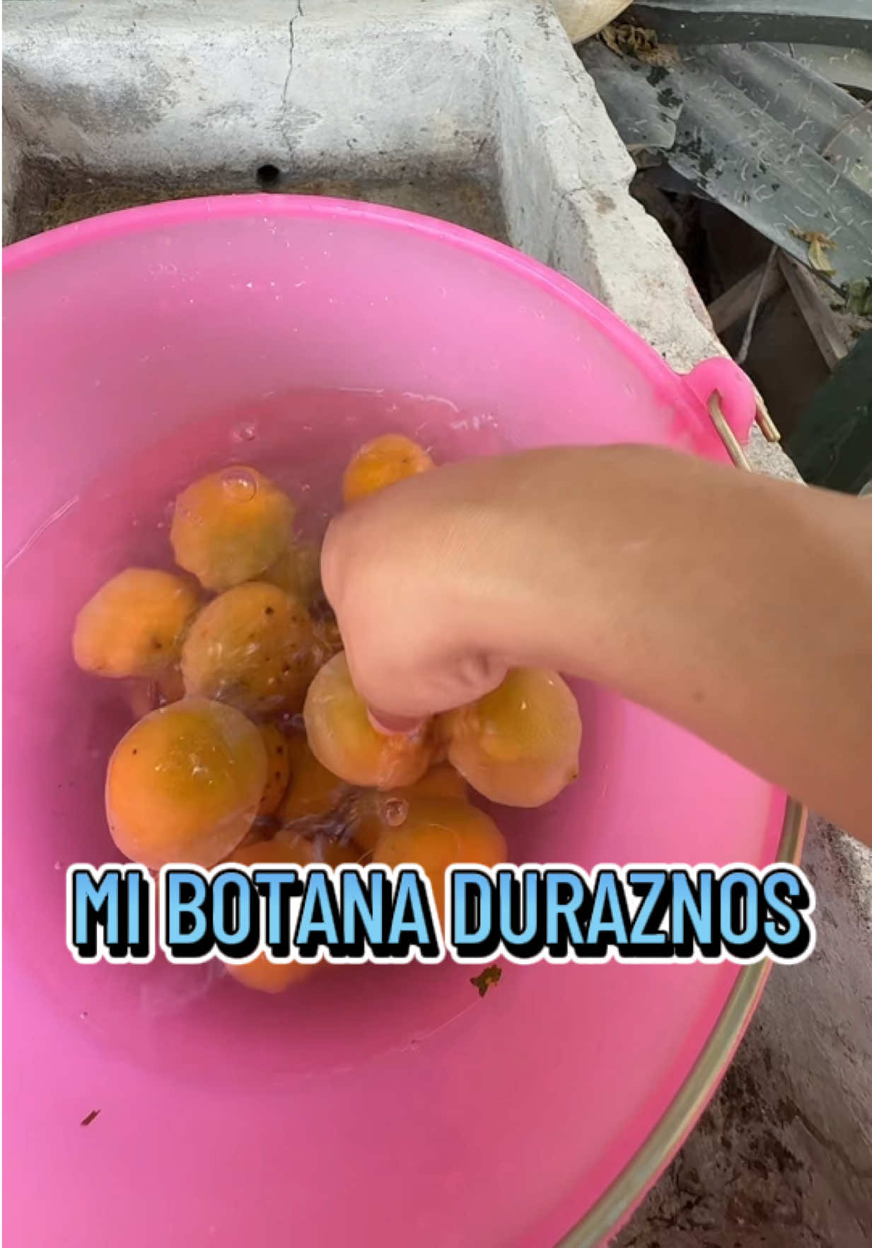 @Peter Zacca Oficial