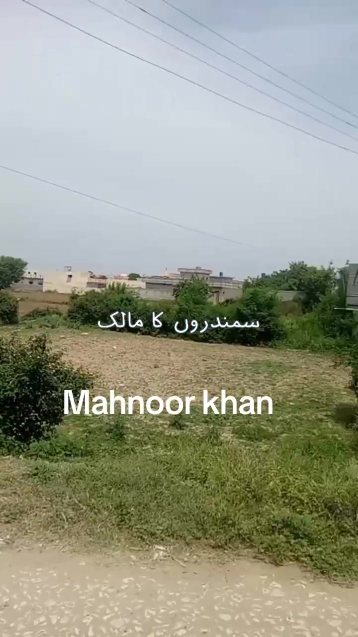 @Mahnoor khan
