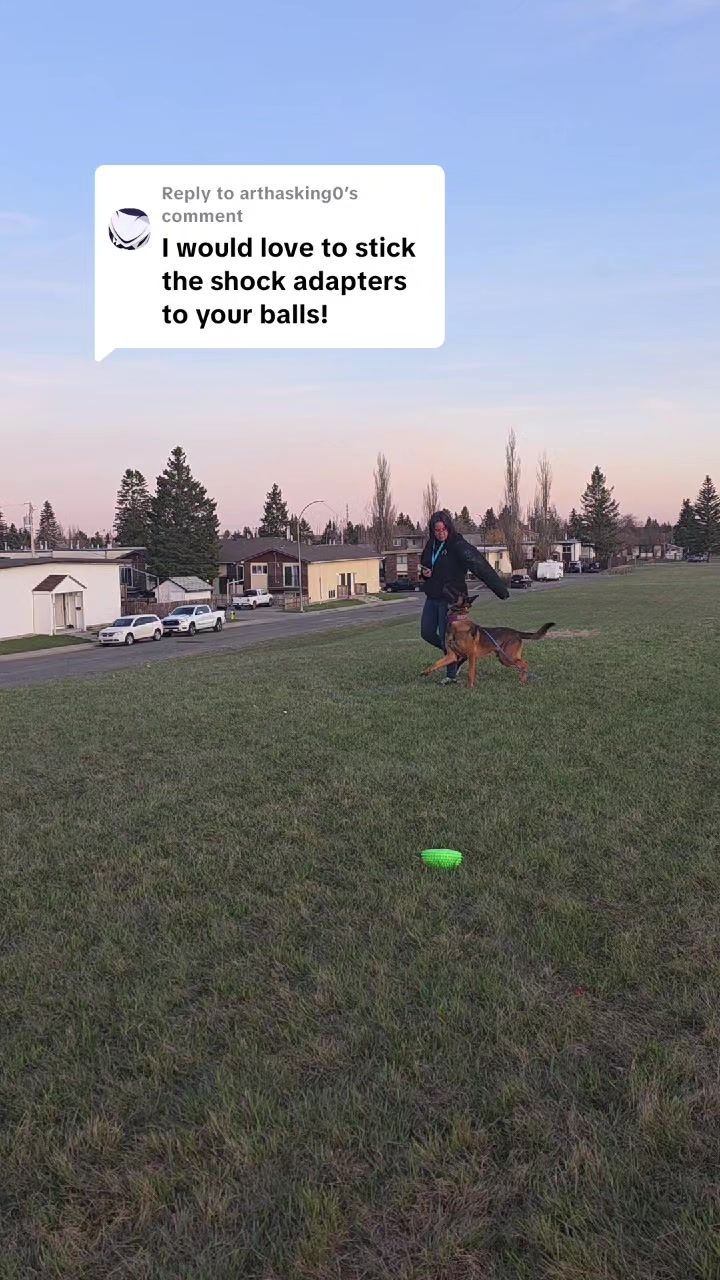 @Steph-RaisingHell.Hounds🇨🇦