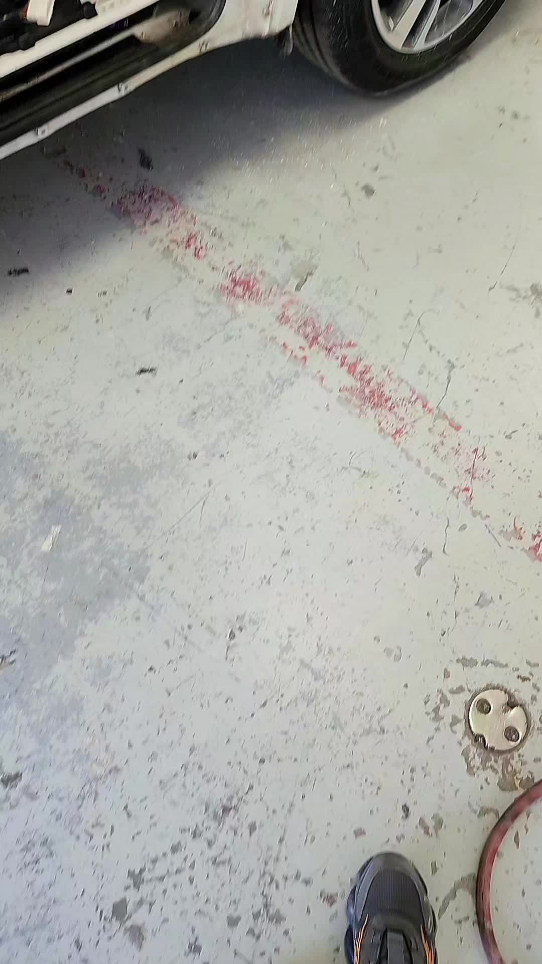 @Cesar Arias