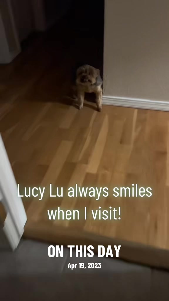 @Salty Lemon Art