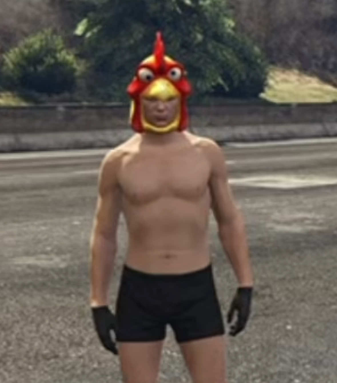 @atom_chicken