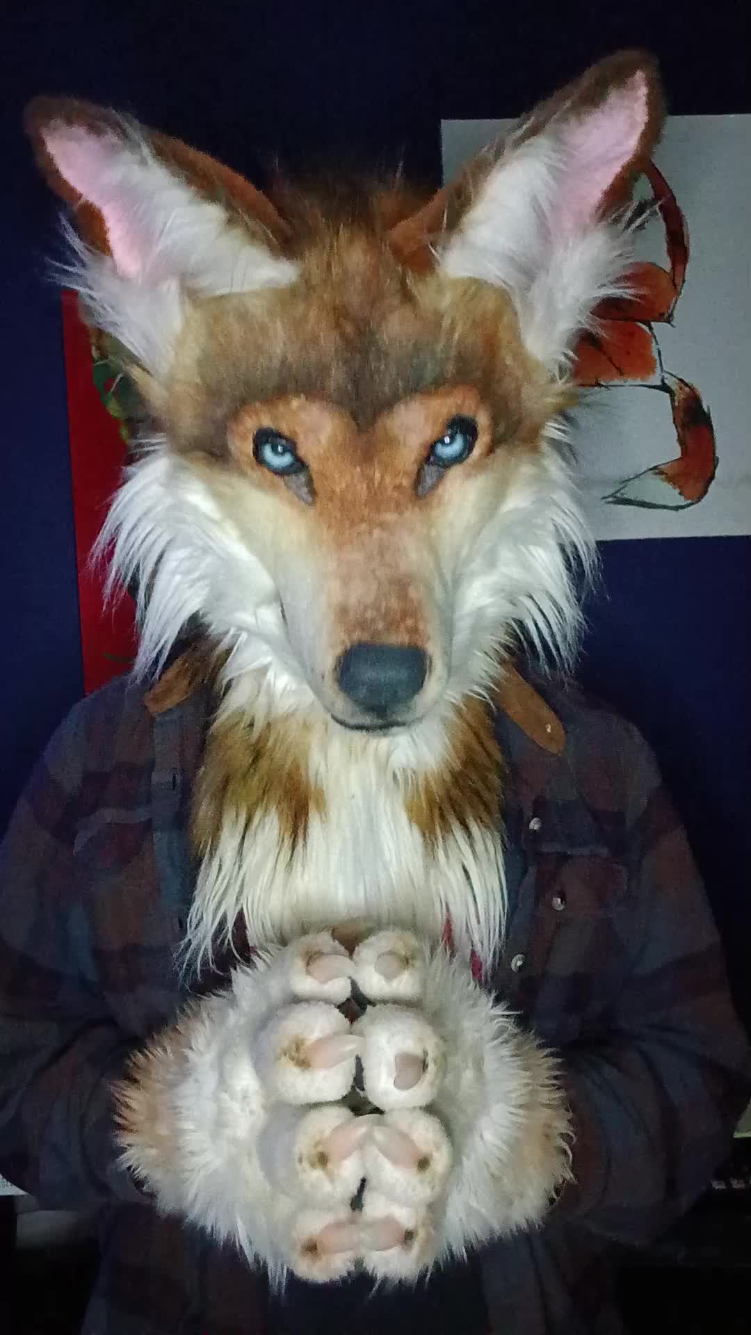 @SaltyFox