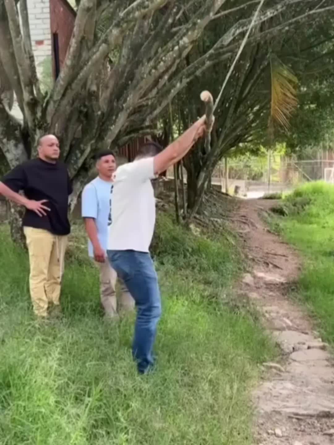 @𝐘𝐮𝐣𝐢