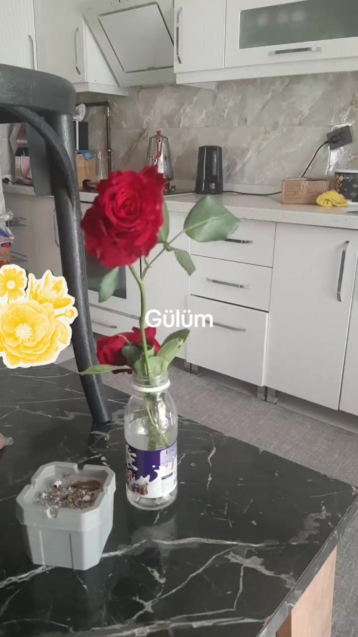 @💕💕💕💕