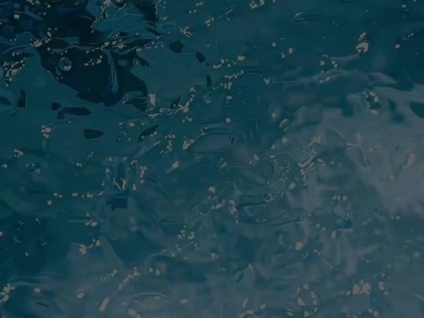 @🌊