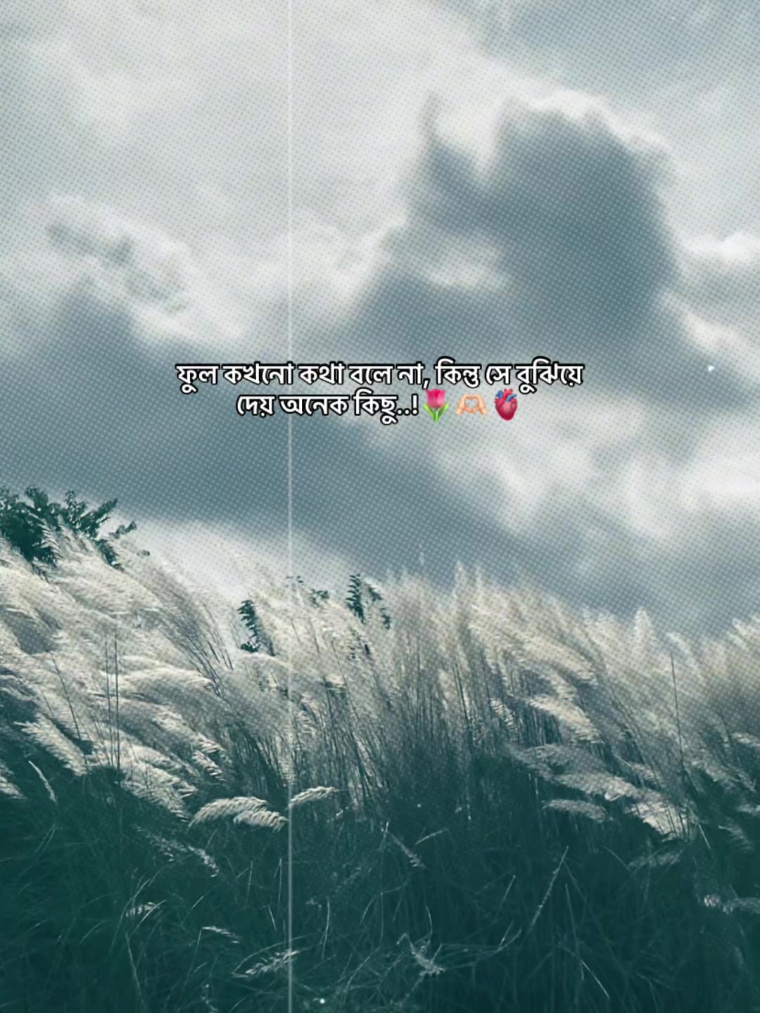 @️ ✭𓅃𝘼𝙡𝙞𝙛 𝙫𝙖𝙞