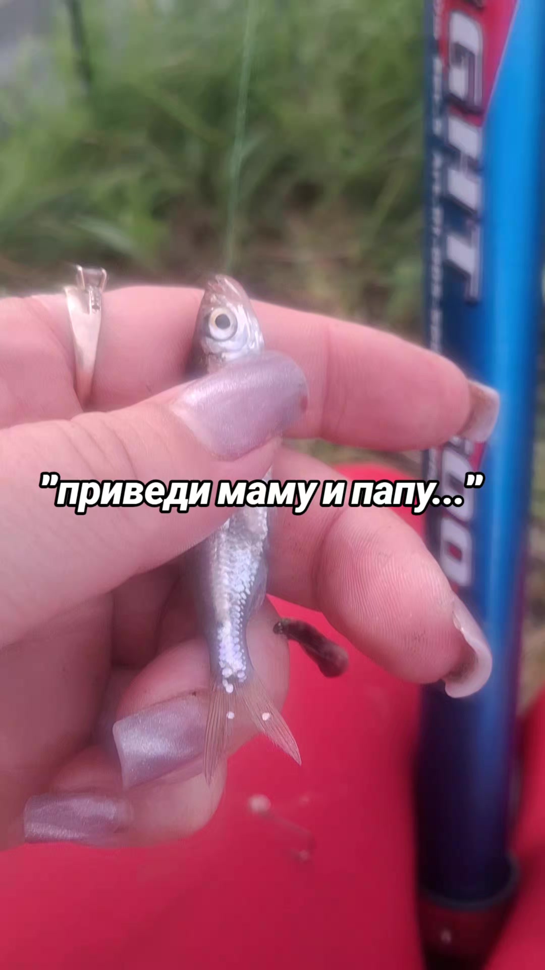@токсичная2412