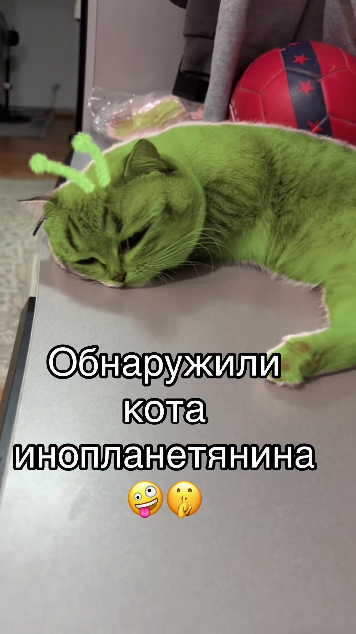 @Асель