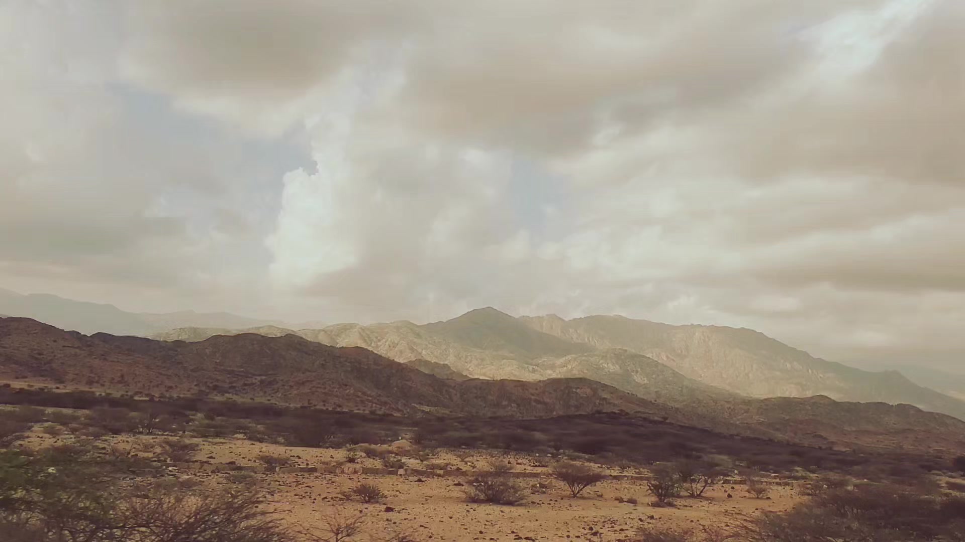@هيــ♟️ــبــة مــ♟️ــلــك