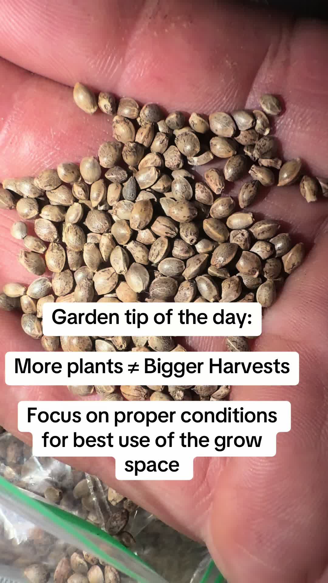 @SEEDTIVA