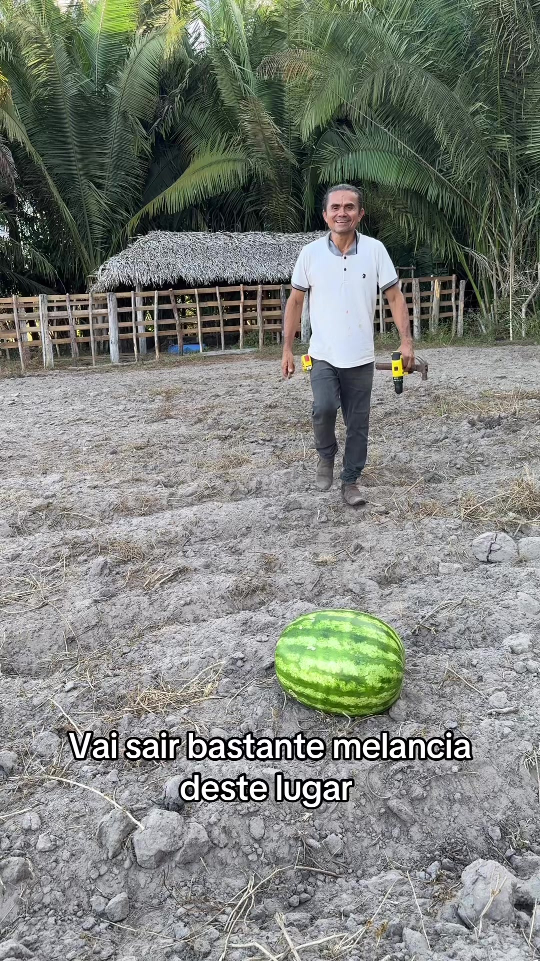 @sitioeseudiadia