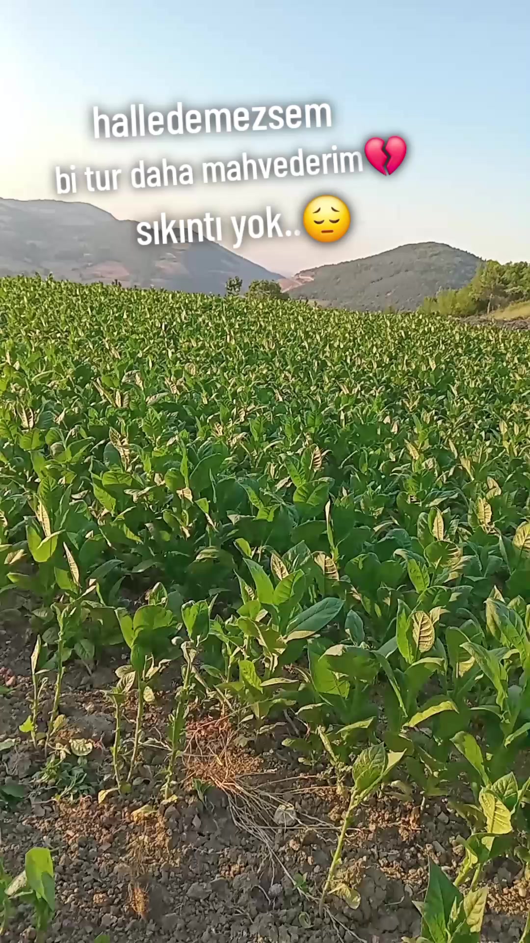 @userrr