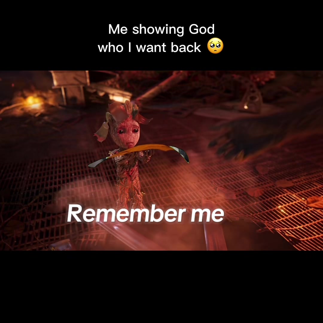 @zxzx
