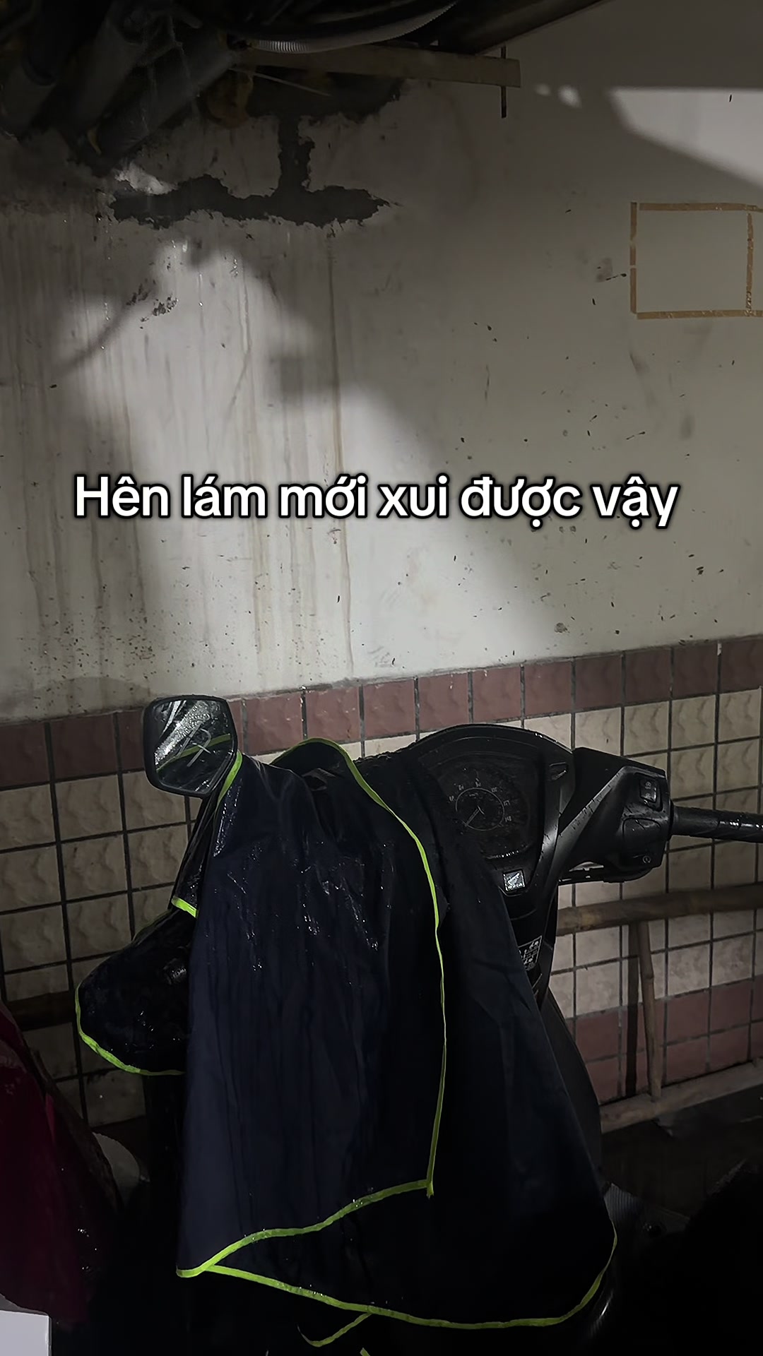 @PhởnaticĐức