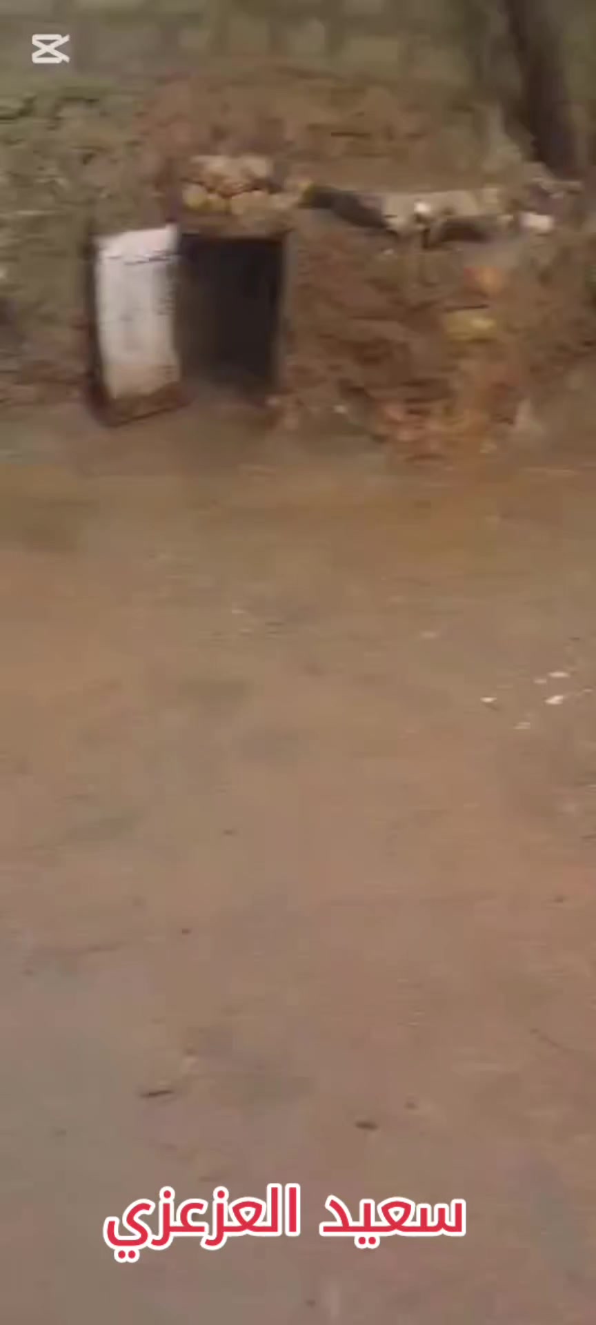 @سعيد نظير العزعزي