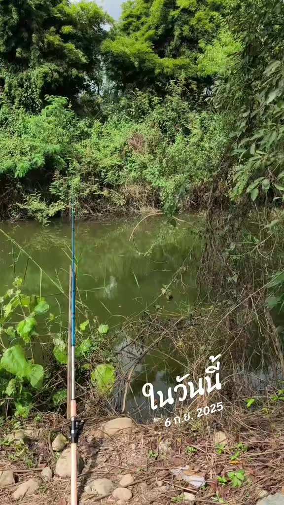 @poownai shop
