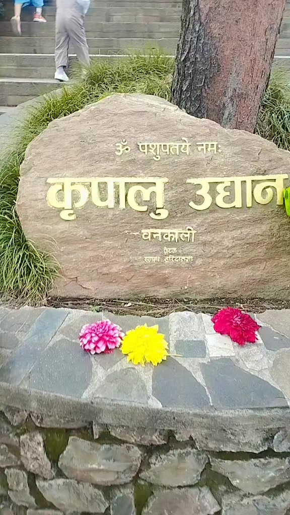 @samayera ali