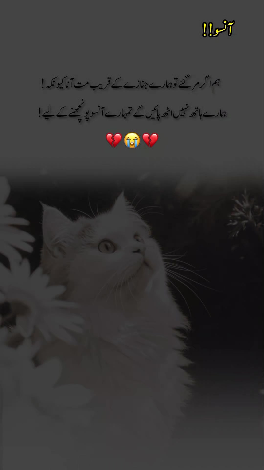 @درد دل