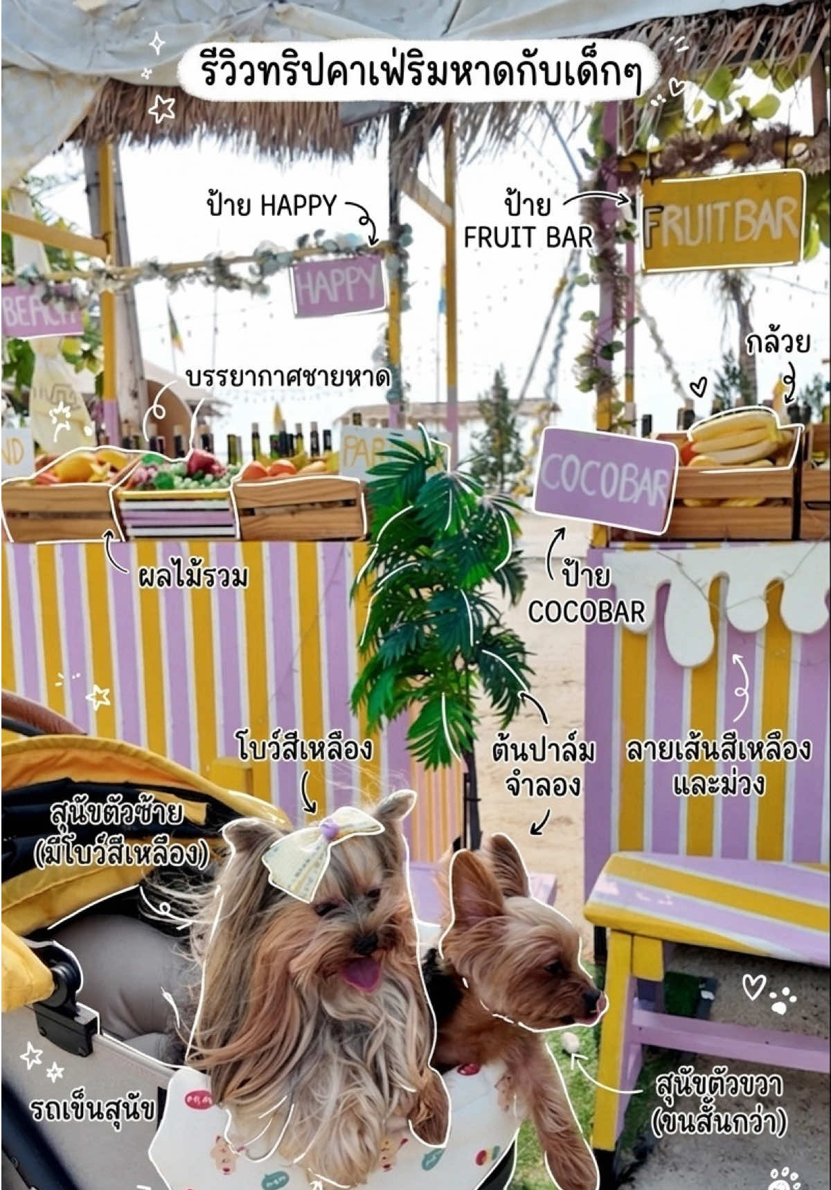 @พี่ขุงขิง & น้องโคโค่ 🐶💕