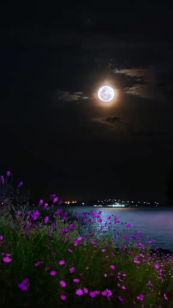 @🌹 ömrüm 🌹