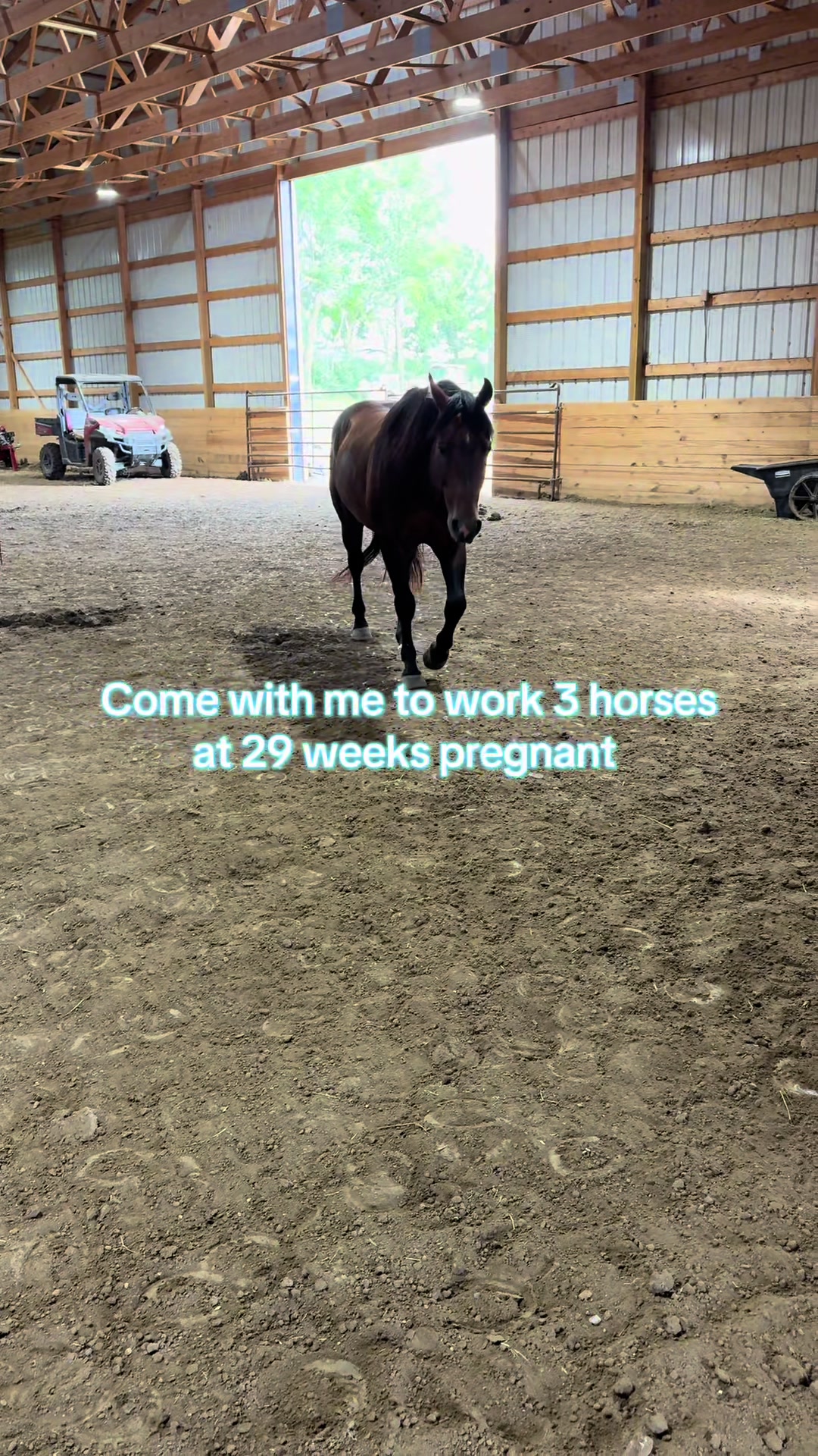 @Living Lucky Quarter Horses