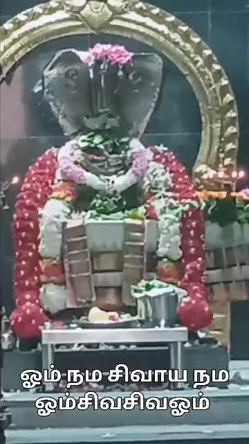 @sree_raj