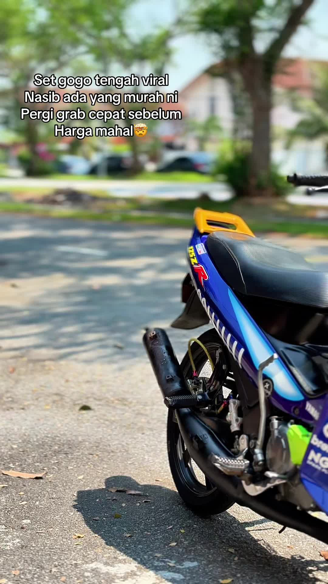 @H4219🦈🐿️