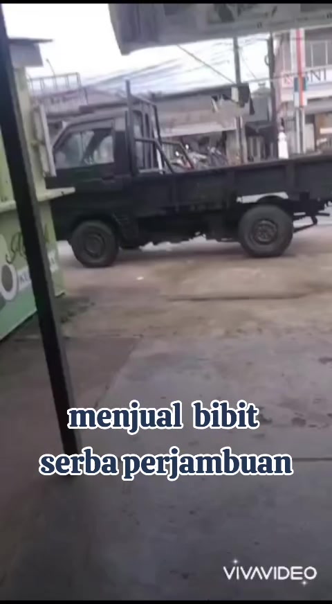 @Bibit khusus samarinda