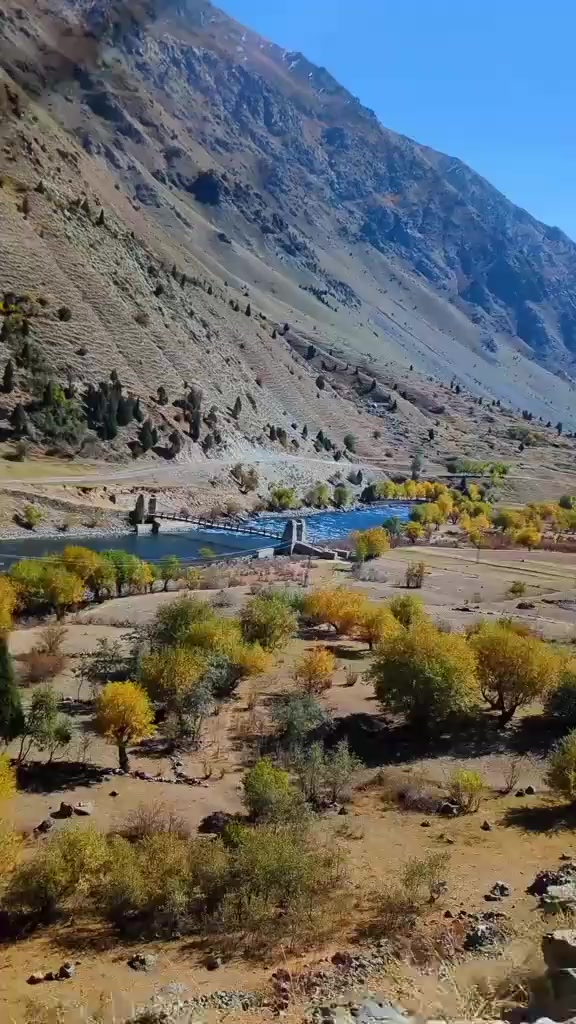 @شعیب عالم  ڈی کے