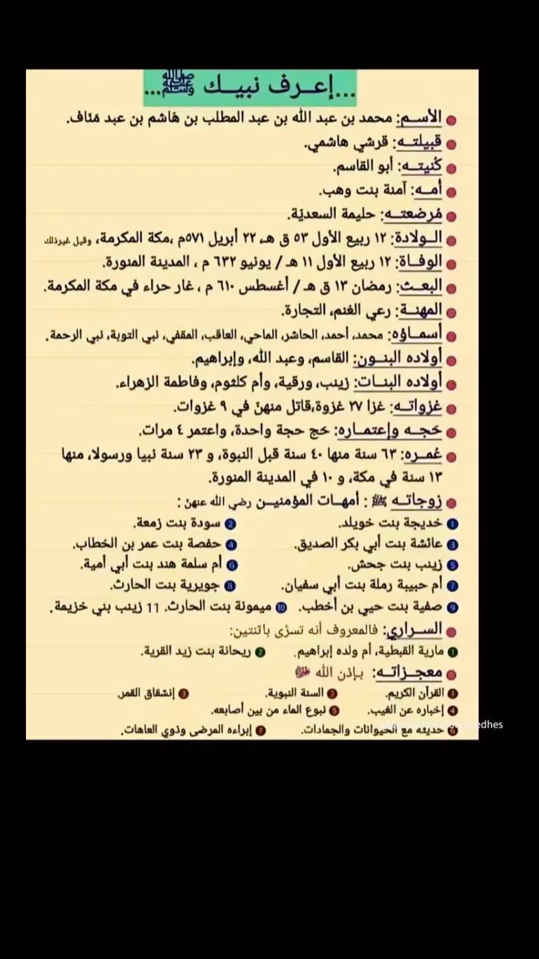 @Amr Salem 505