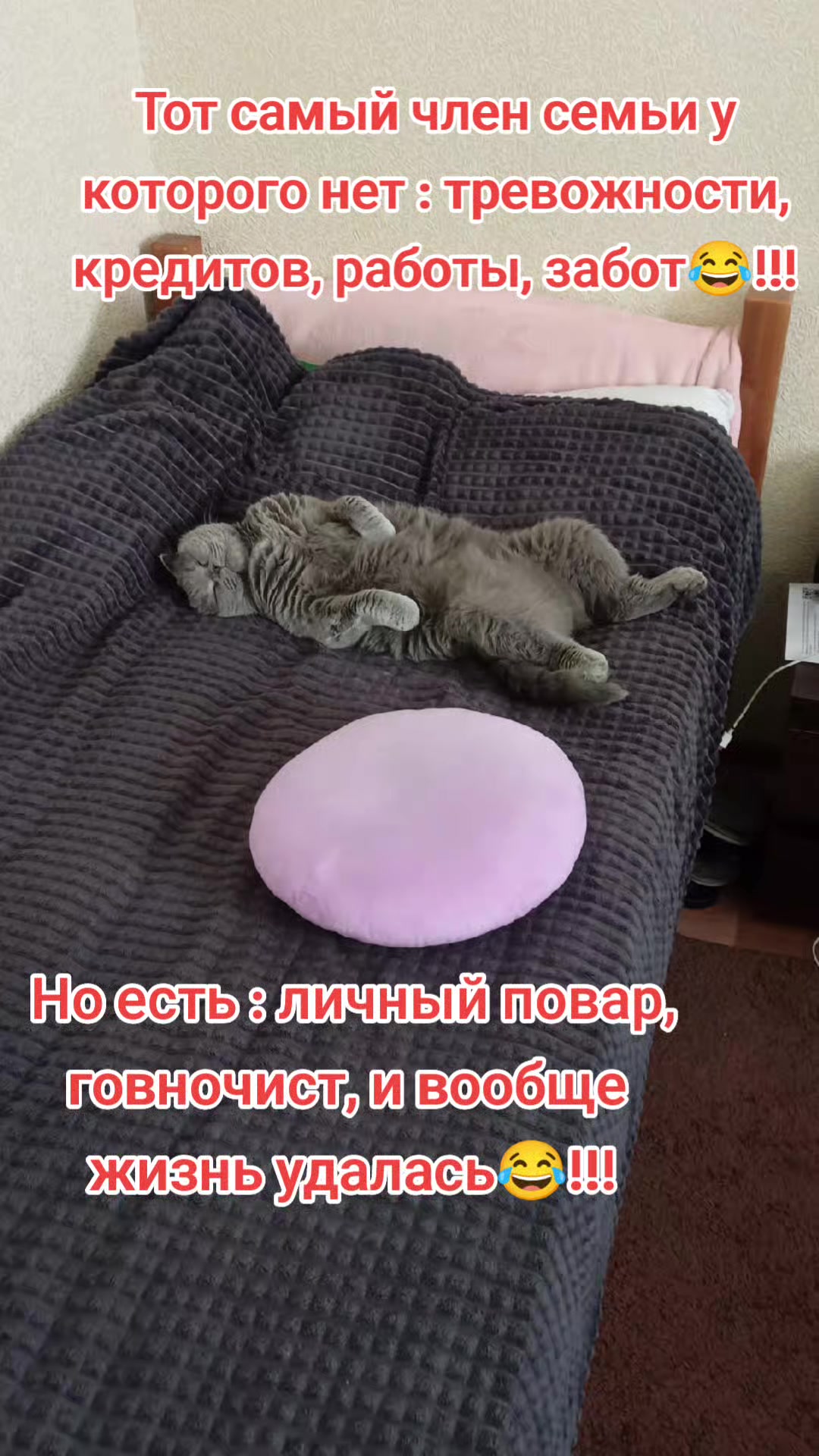 @Varibrus777