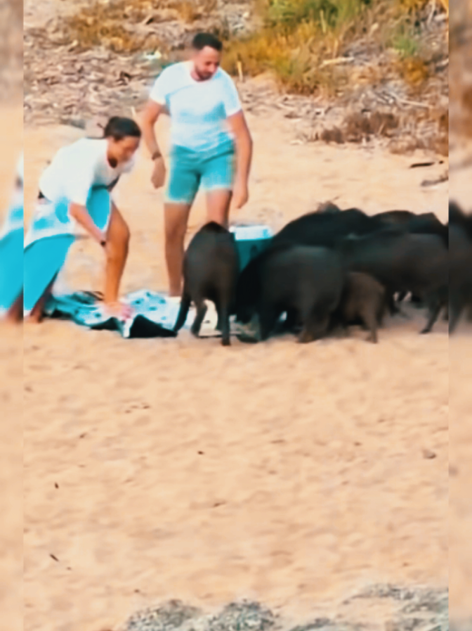 @𝗠𝗘𝗦𝗦𝗜 𝗗𝗔𝗡𝗜𝗘𝗟