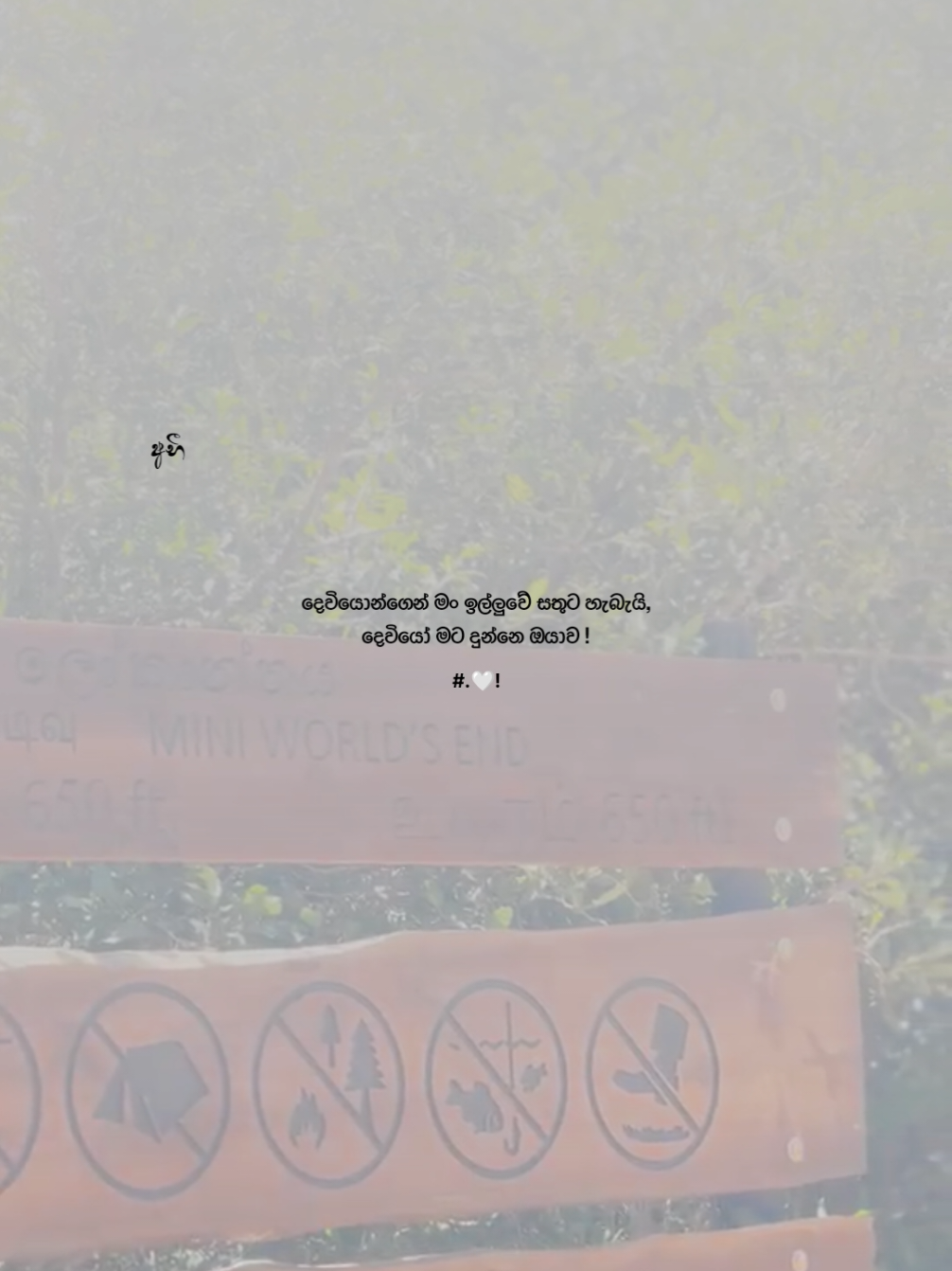 @๐ฃ๐ฑ๐ฎ ๐๐ซ๐ฑ๐ฒ๐ฒ โ๏ธ