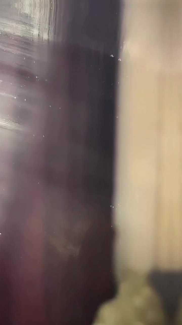@AkshitaDwivedi