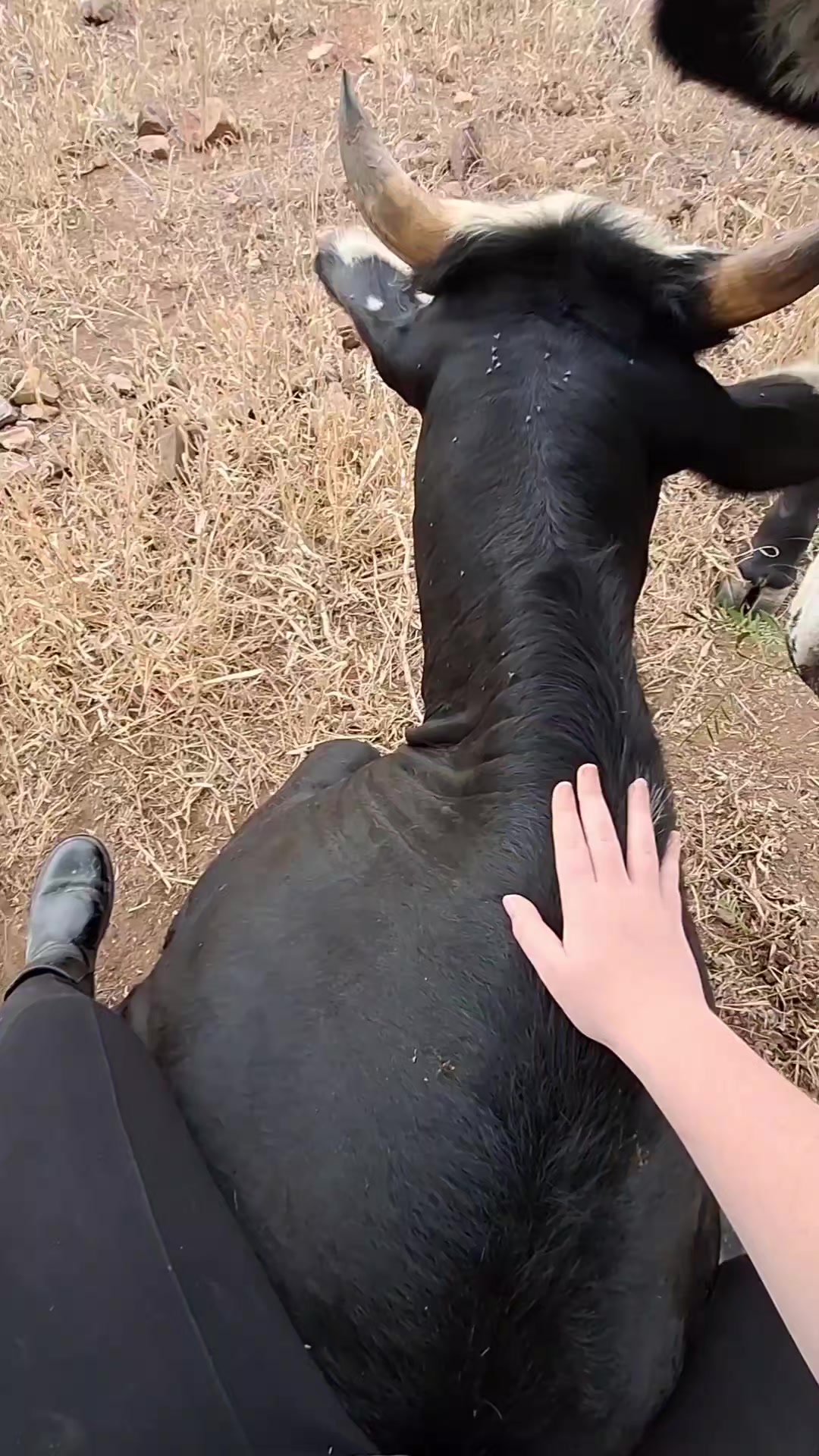 @KayMae