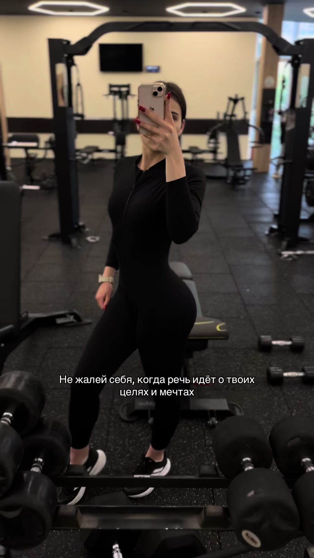 @Сонифиха